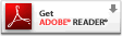 Get Acrobat Reader Icon Large